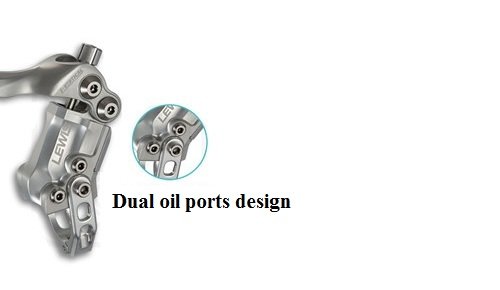 Diseño de puertos de aceite duales
