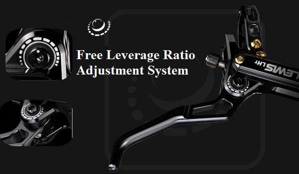 Lewis Patented Leverage Ratio Adjustment